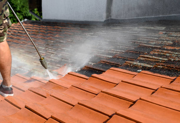 Best Deck Cleaning Services  in Abbeville, LA